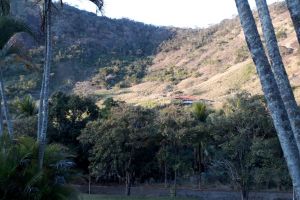 imovel/1309/sitio/Venda/